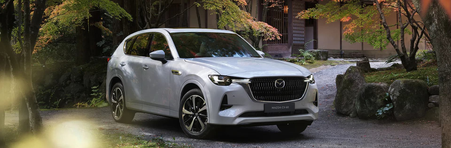 promotion card image